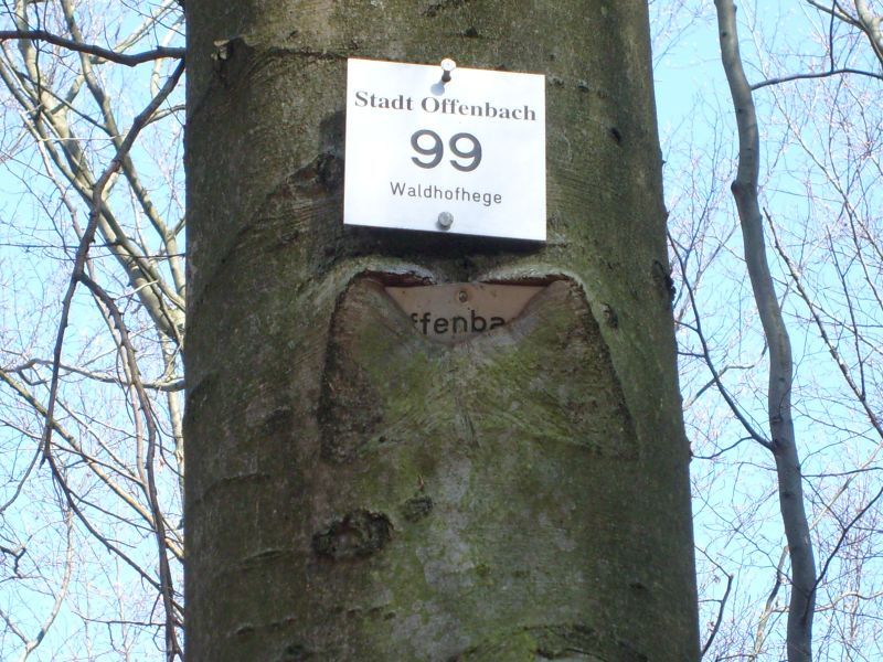 Verschlucktes Straßenschild