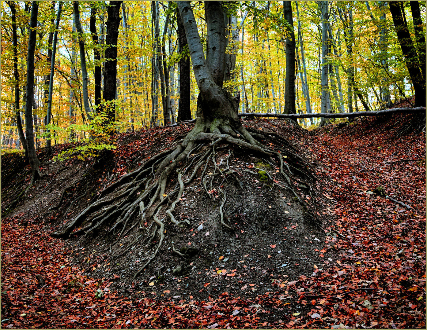 verschlungen