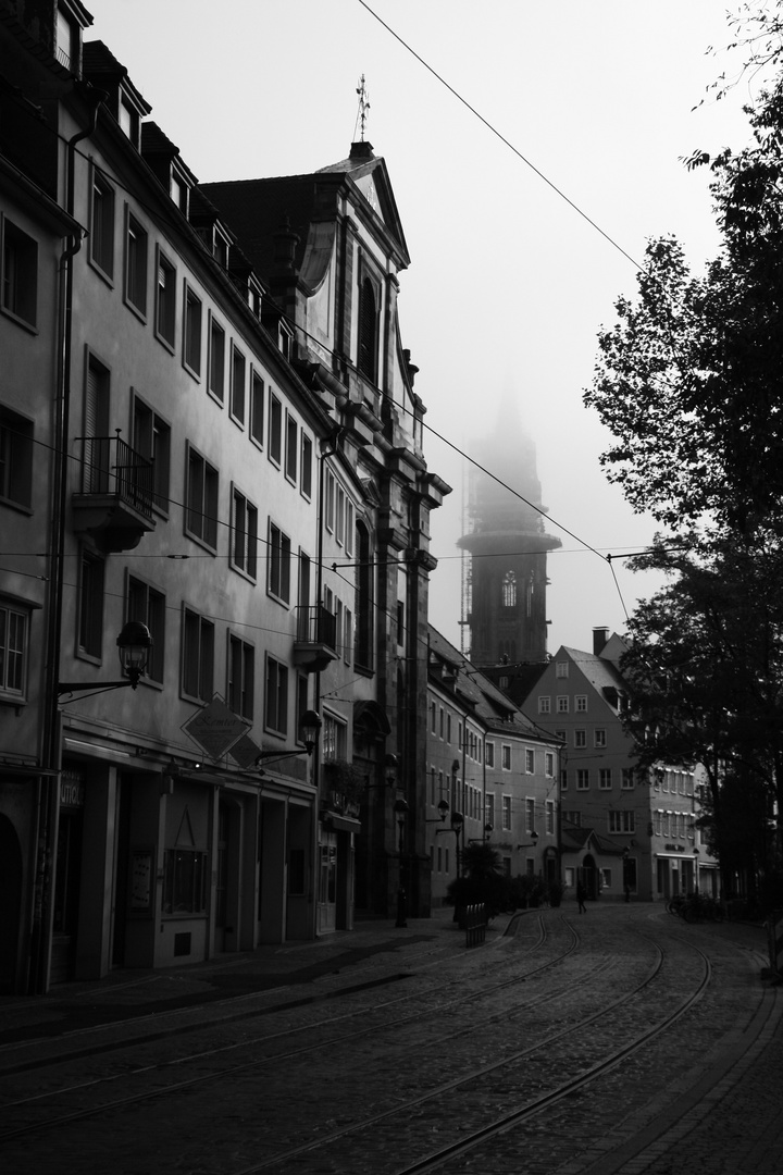 Verschlungen in Stille: Nebel