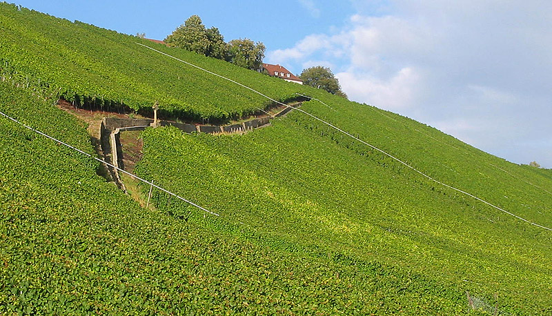 Verschlungene Pfade....