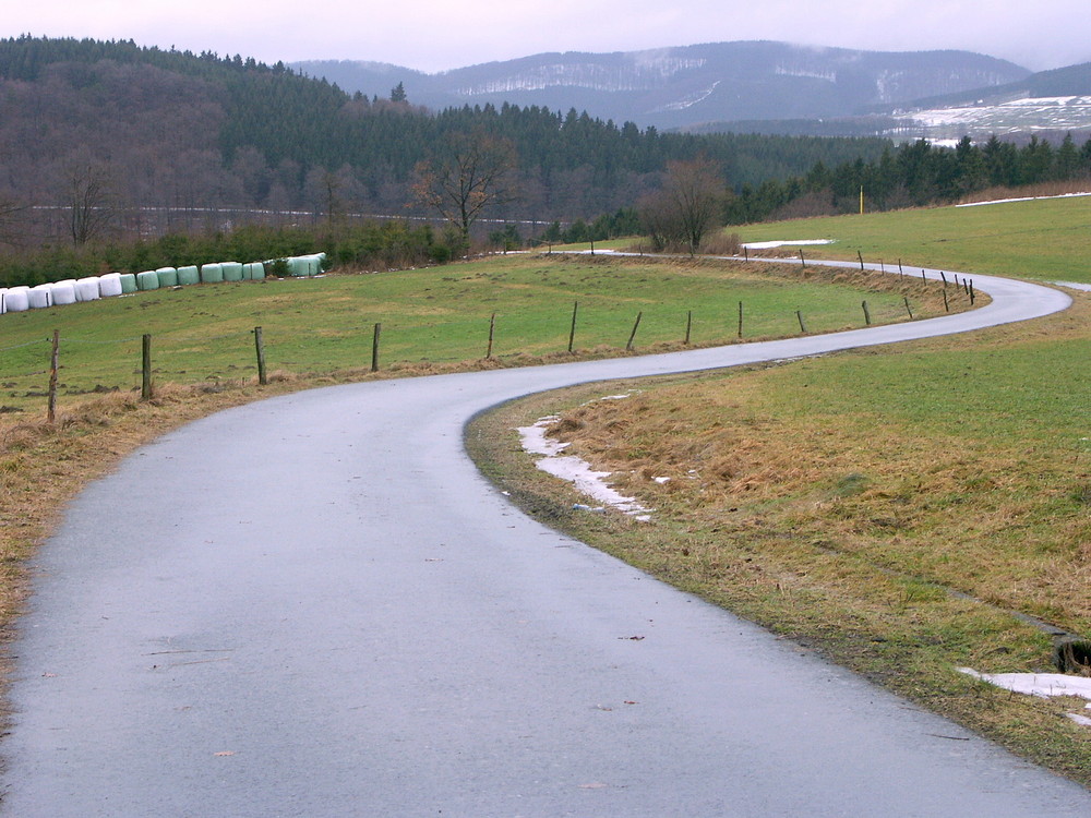 Verschlungene Straße