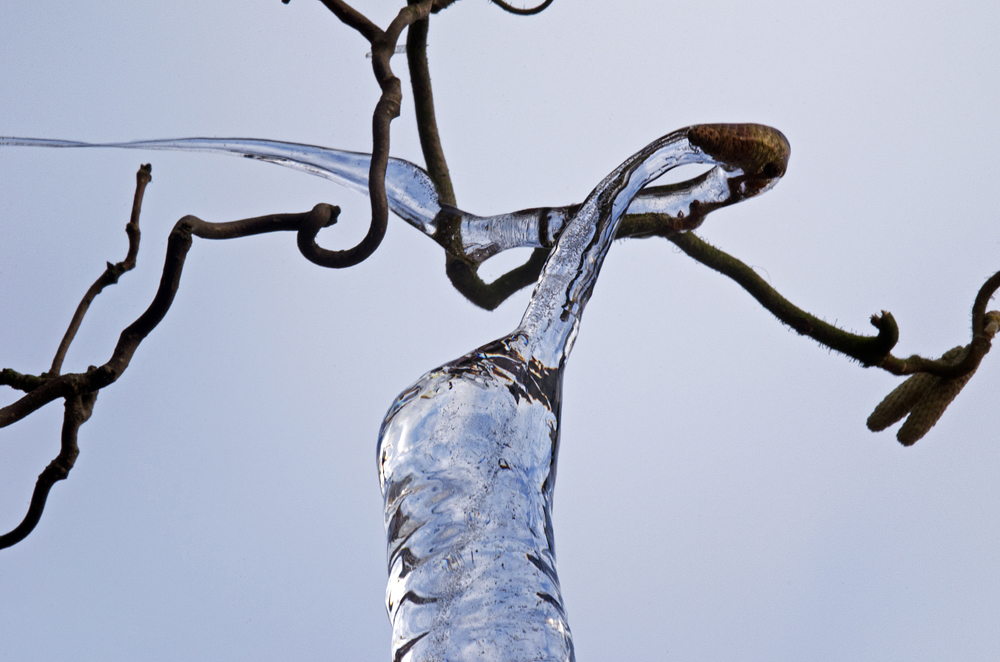 verschlungene Wege - Eiszapfen...