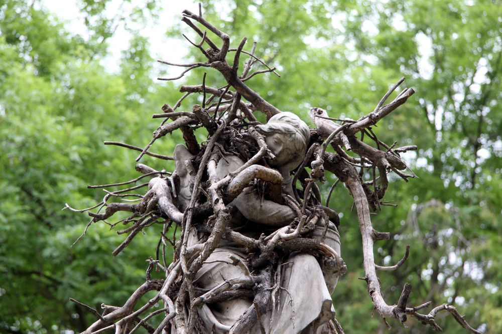 verschlungener Engel im Baum