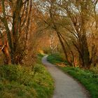 Verschlungener Pfad im Herbst