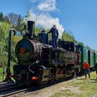 Verschnaufpause muss sein . Feistritztalbahn .