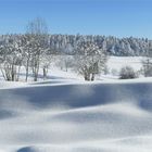 VERSCHNEIT, unberührt und sonnig....