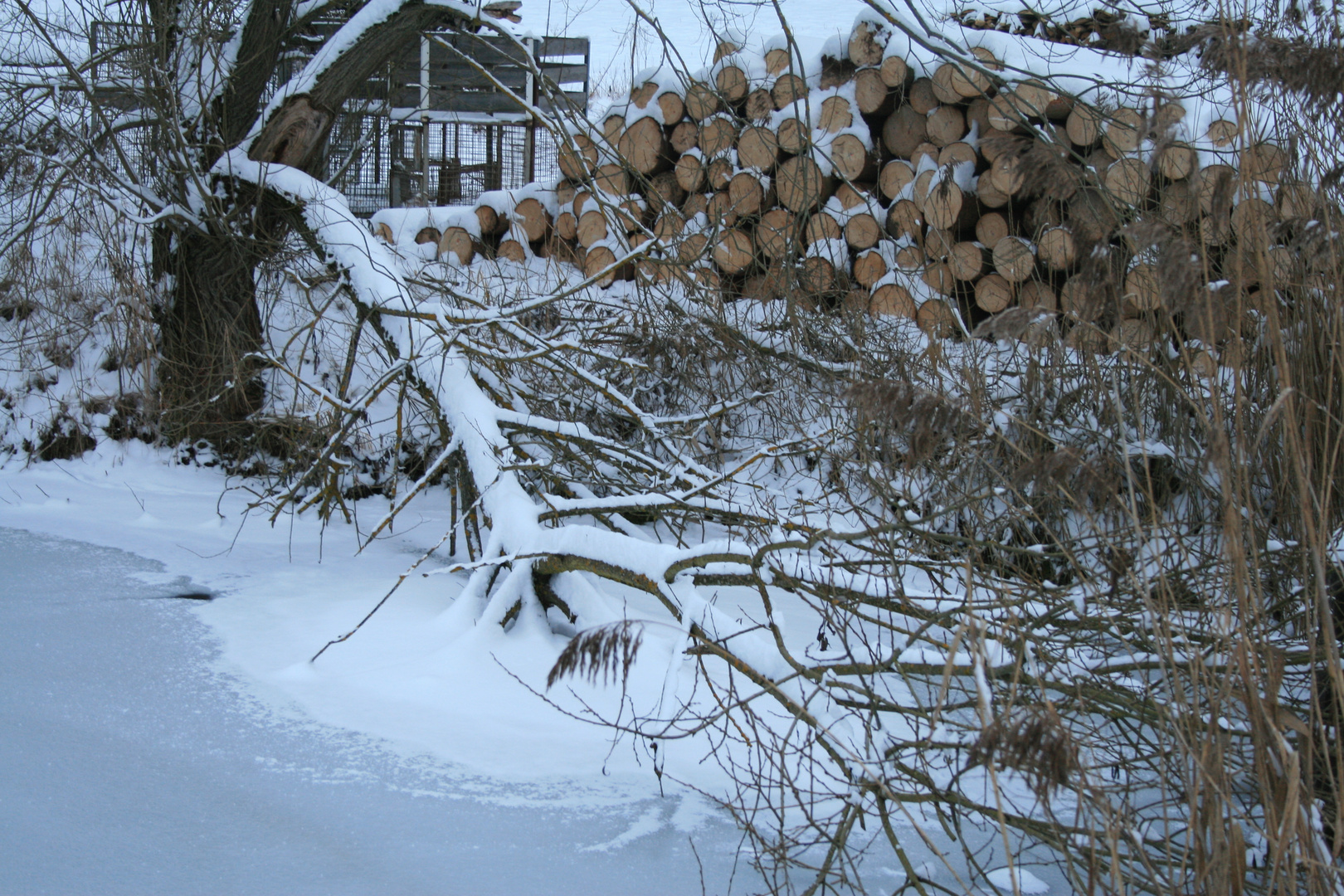 Verschneit und zugefroren