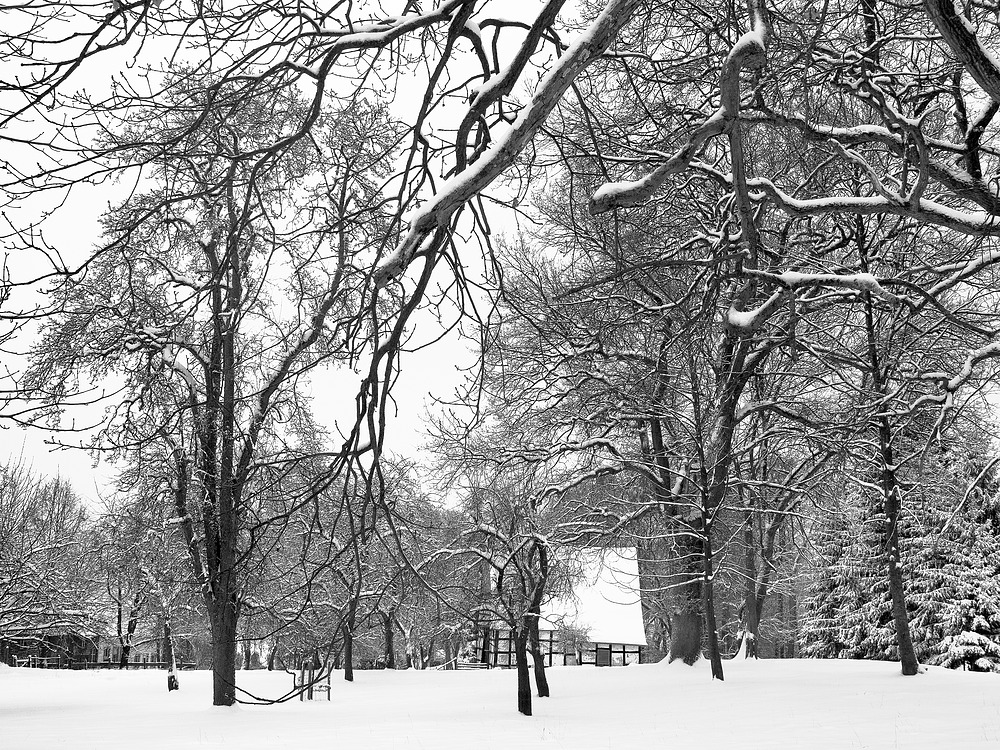 Verschneite Bäume und Fachwerkhaus