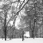 Verschneite Bäume und Fachwerkhaus