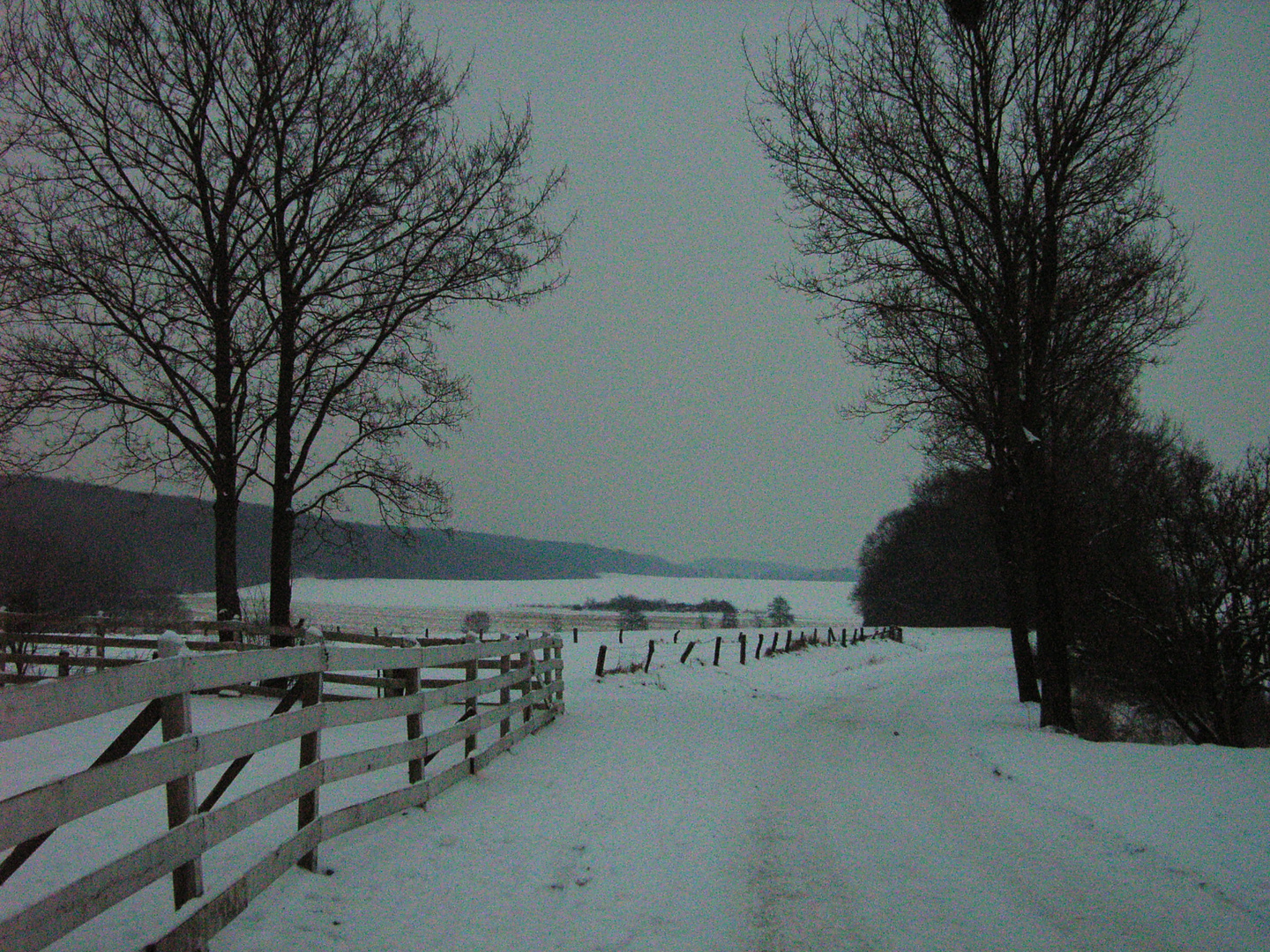 Verschneite Baumberge in der Dämmerung eines Spätwintertages