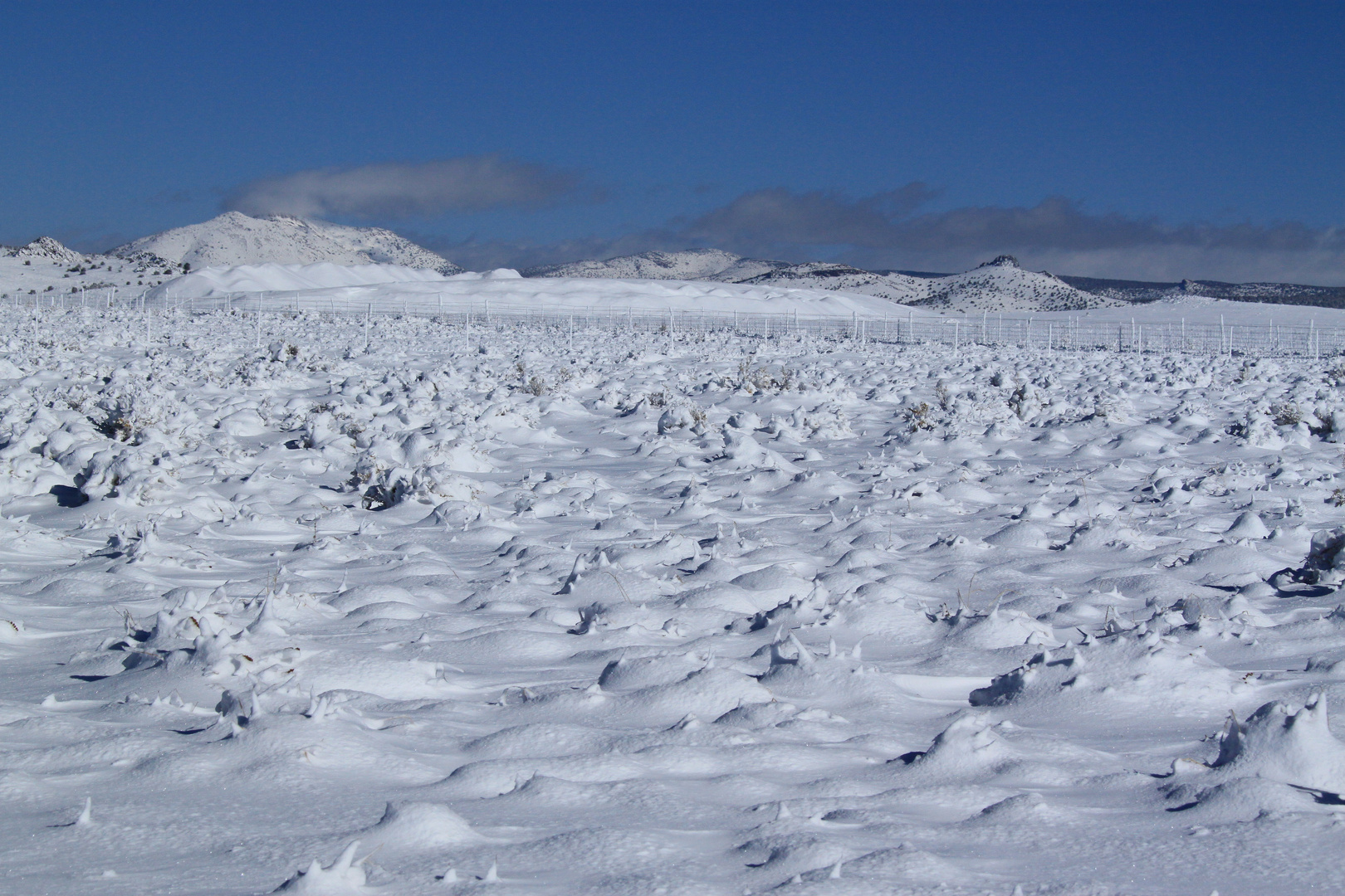 Verschneite Felder nach Blizzard