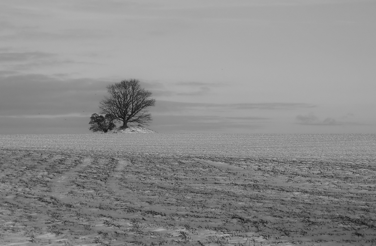 verschneite landschaft