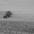 verschneite landschaft