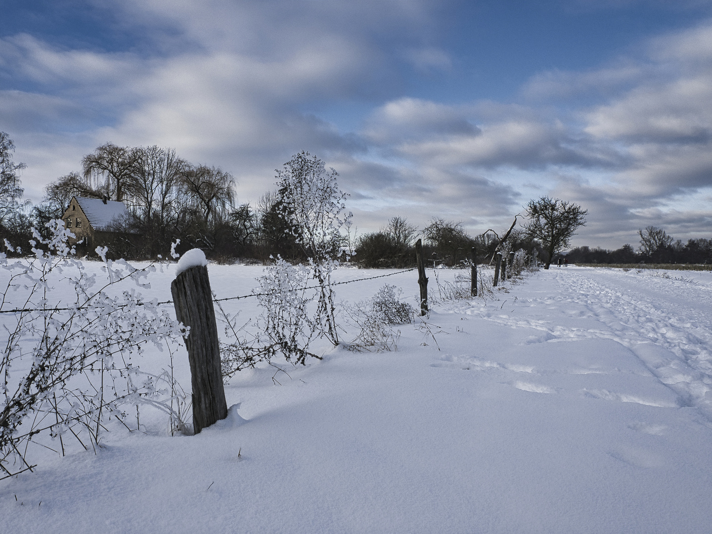 Verschneite Landschaft