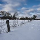 Verschneite Landschaft