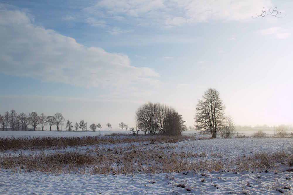 verschneite Landschaft