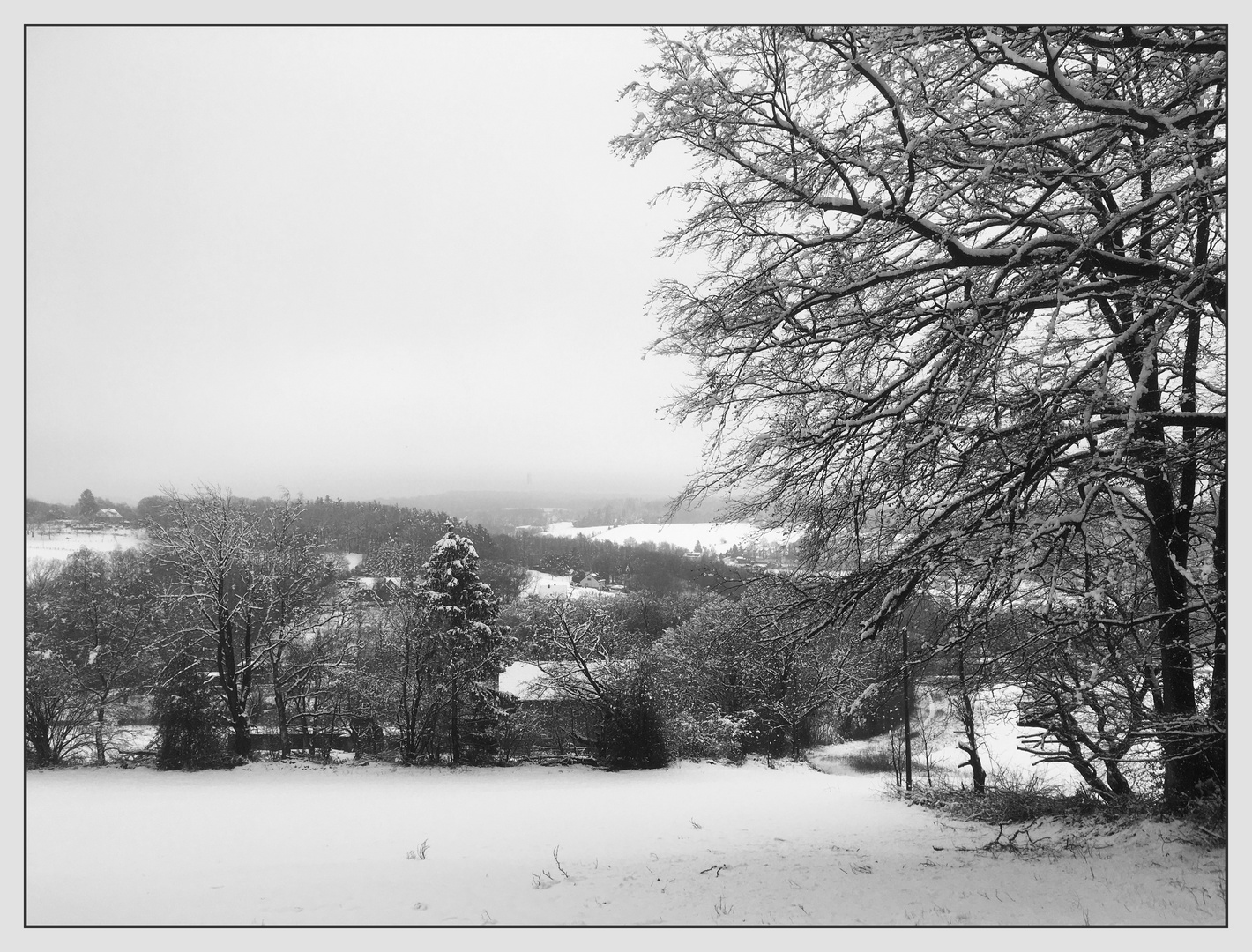 verschneite Landschaft