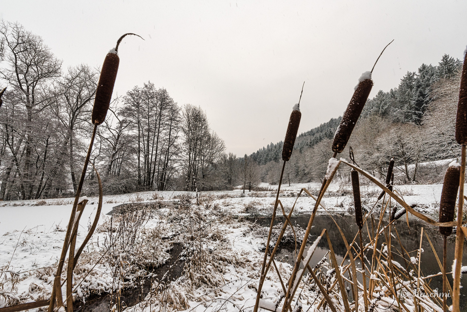 VERSCHNEITE LANDSCHAFT