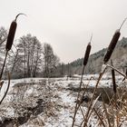 VERSCHNEITE LANDSCHAFT