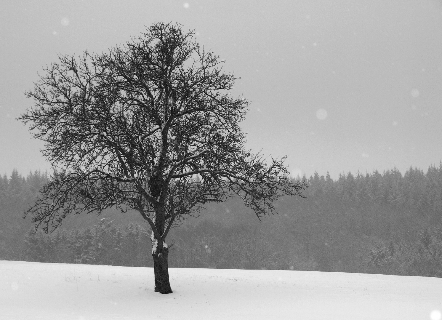 verschneite Landschaft