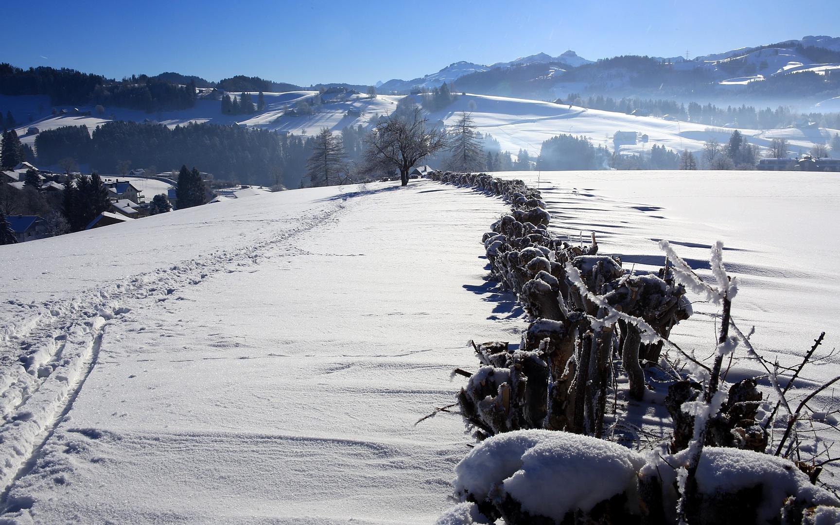 verschneite Landschaft