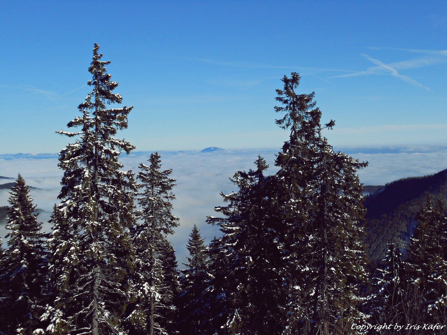 verschneite Landschaft