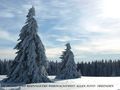 Verschneite Landschaft von Harald Beyer 