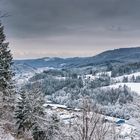 Verschneite Landschaften