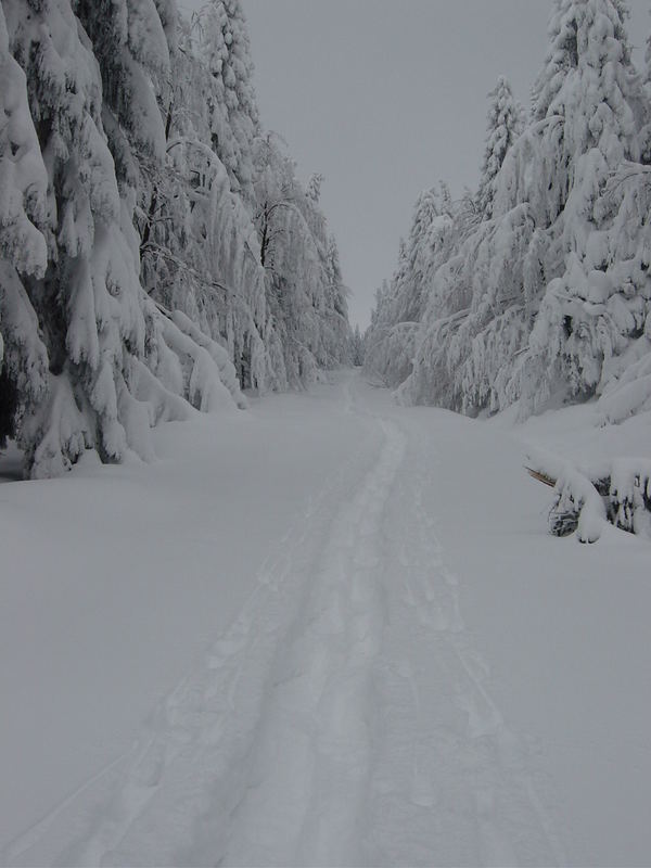 Verschneite Märchenwelt