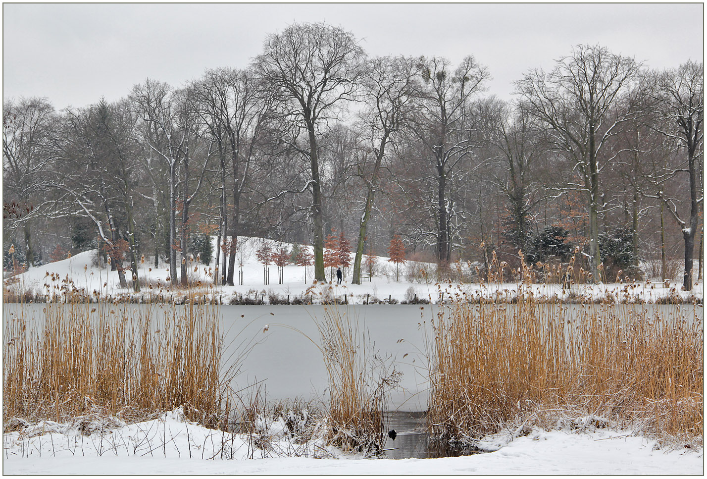 Verschneite Parklandschaft.