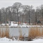 Verschneite Parklandschaft.