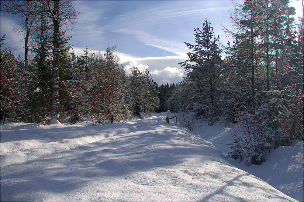 Verschneite Rhön