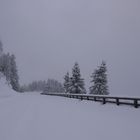 Verschneite Roßfeld-Panoramastraße