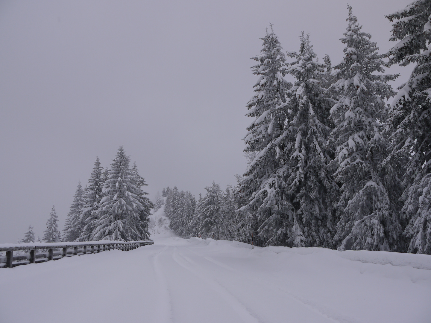 Verschneite Roßfeld-Panoramastraße