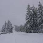 Verschneite Roßfeld-Panoramastraße