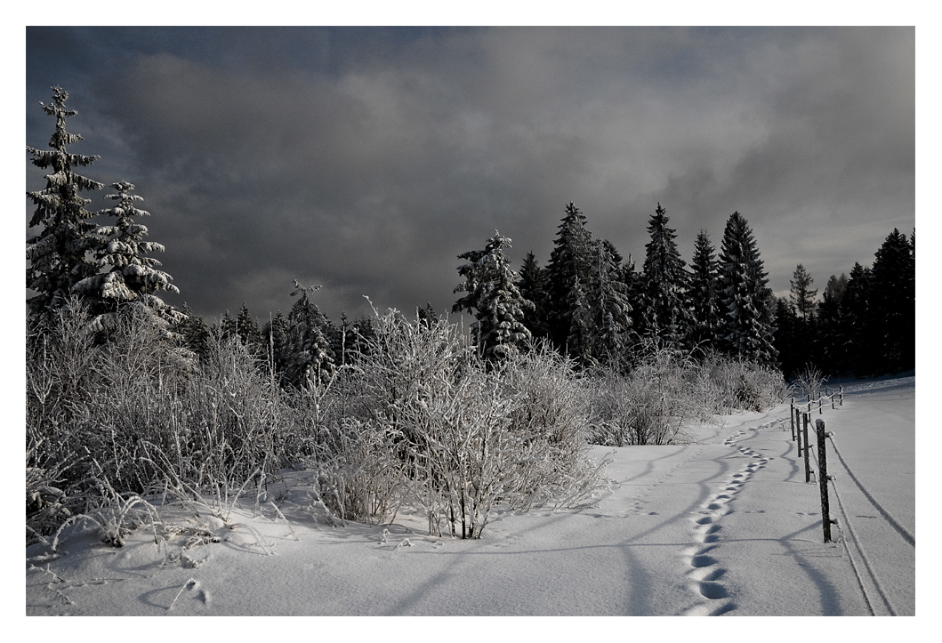 Verschneite Spur im Schnee