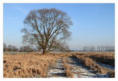 Verschneite Spuren