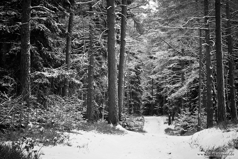 verschneite Waldwege