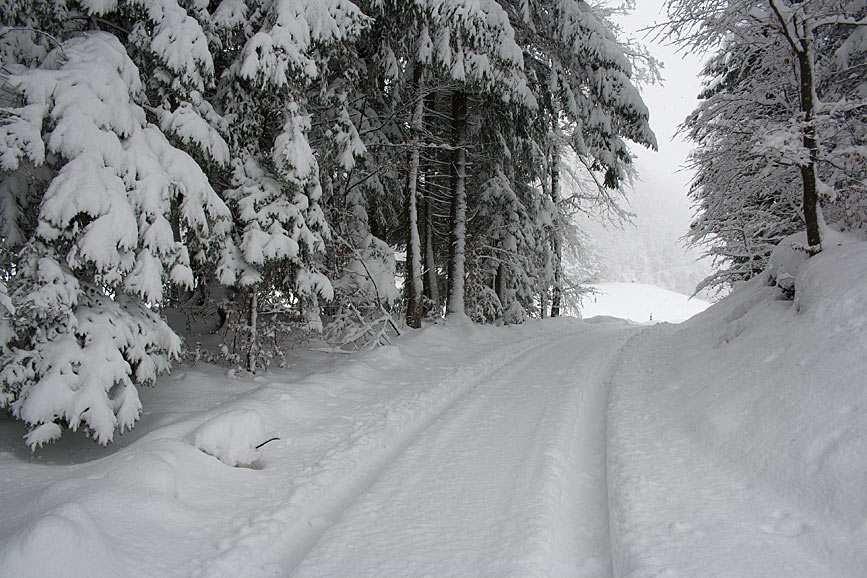 Verschneite Wege im Zürcher Oberland