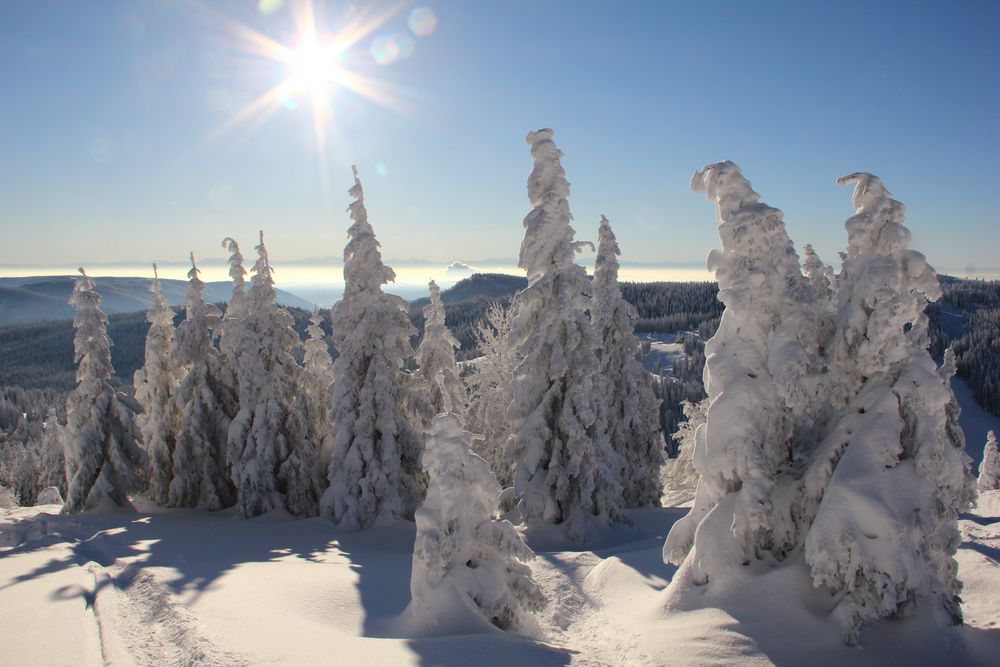 Verschneite Winterlandschaft von Bonfi 