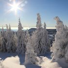 Verschneite Winterlandschaft