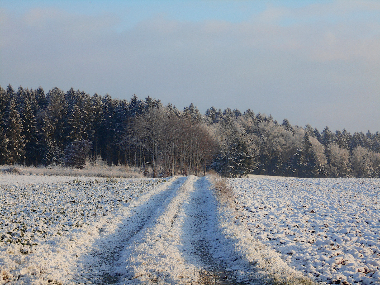 Verschneite Winterlandschaft