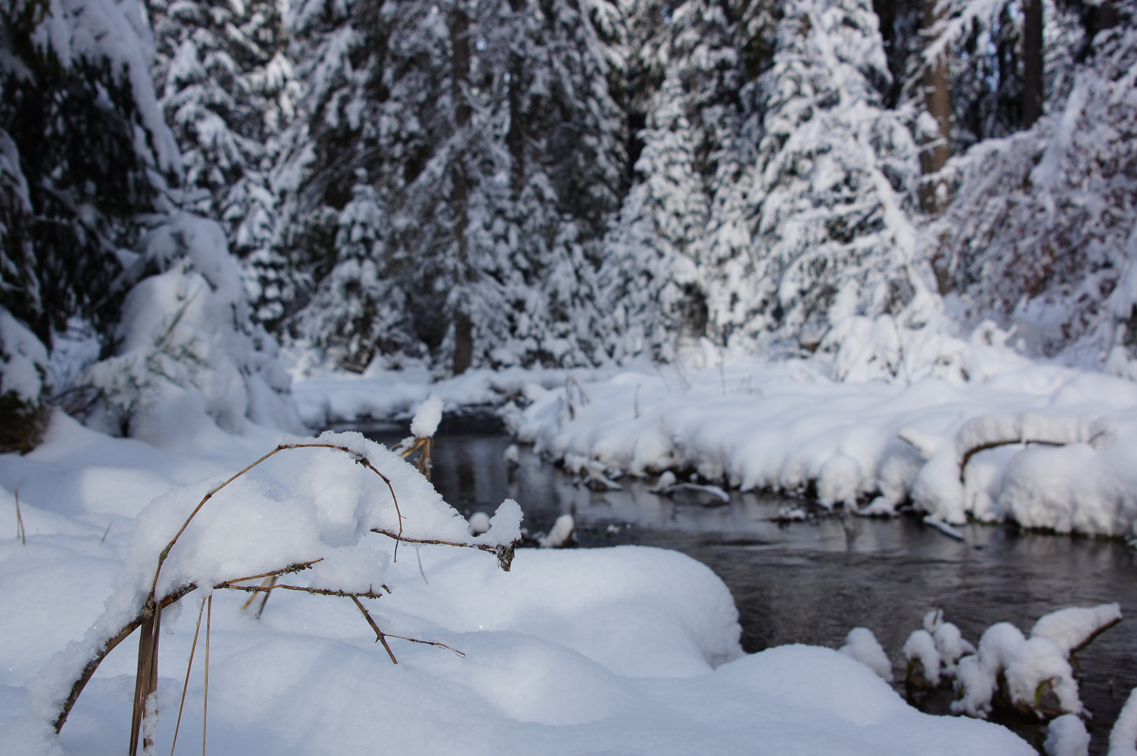 Verschneite Winterlandschaft