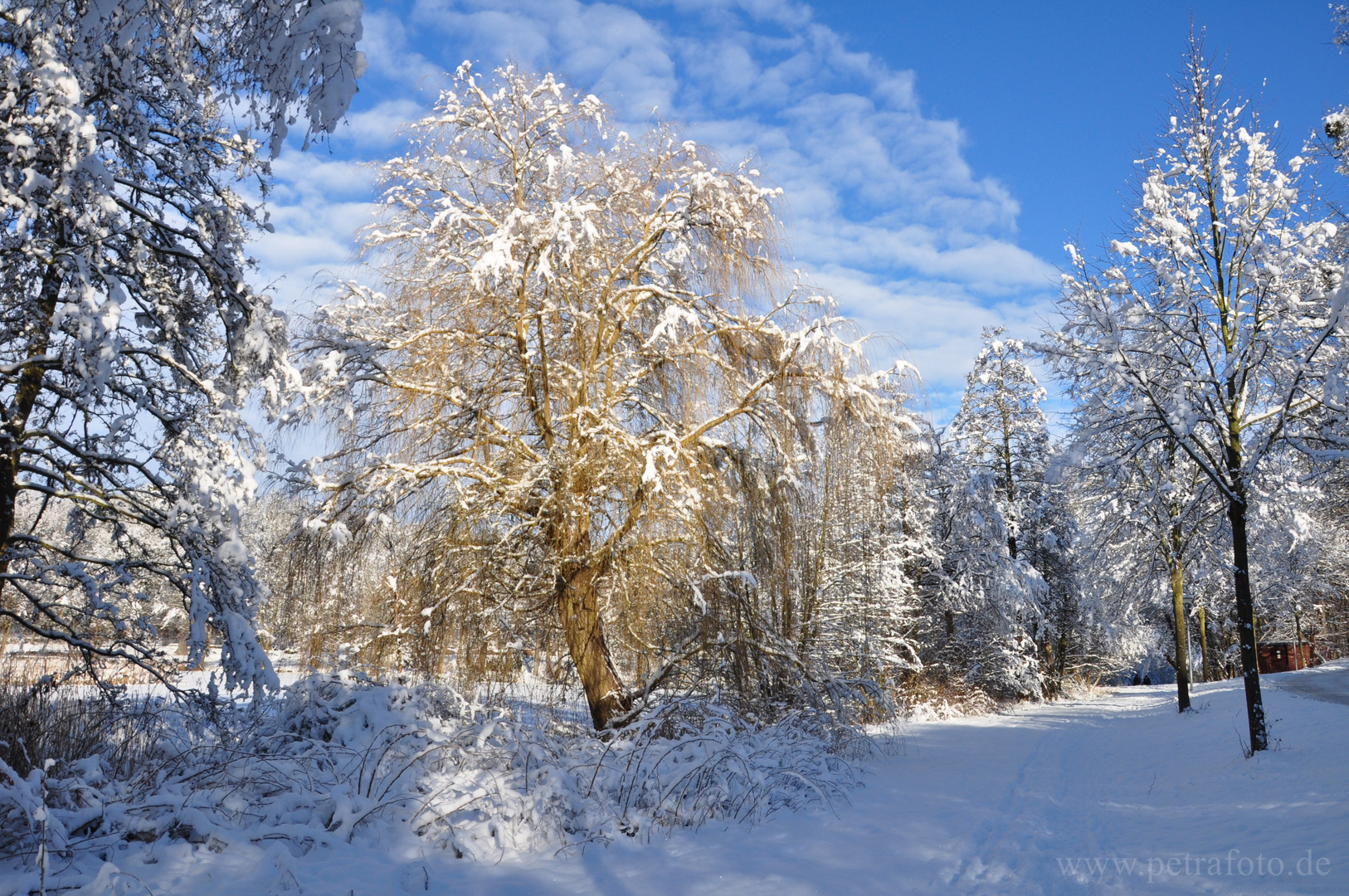 Verschneite Winterlandschaft / Lappwald - Bad Helmstedt