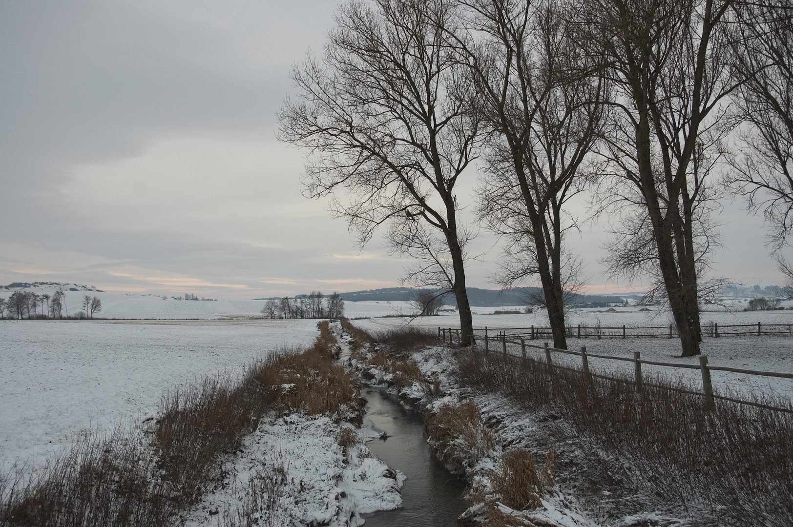 Verschneiter Bachlauf der sich seine Weg bahnt