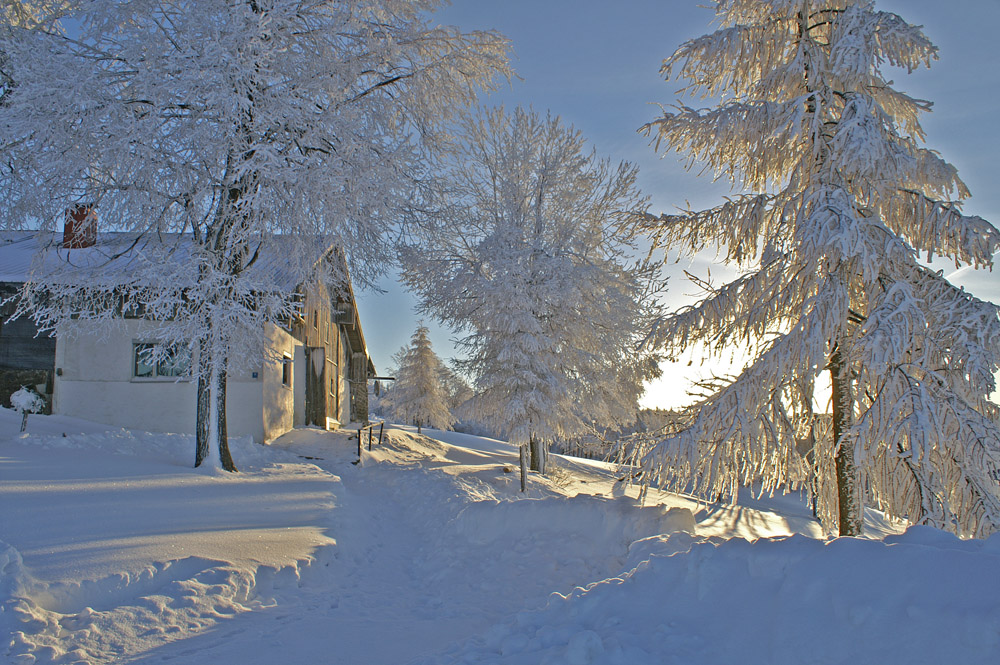 Verschneiter Bergbauernhof