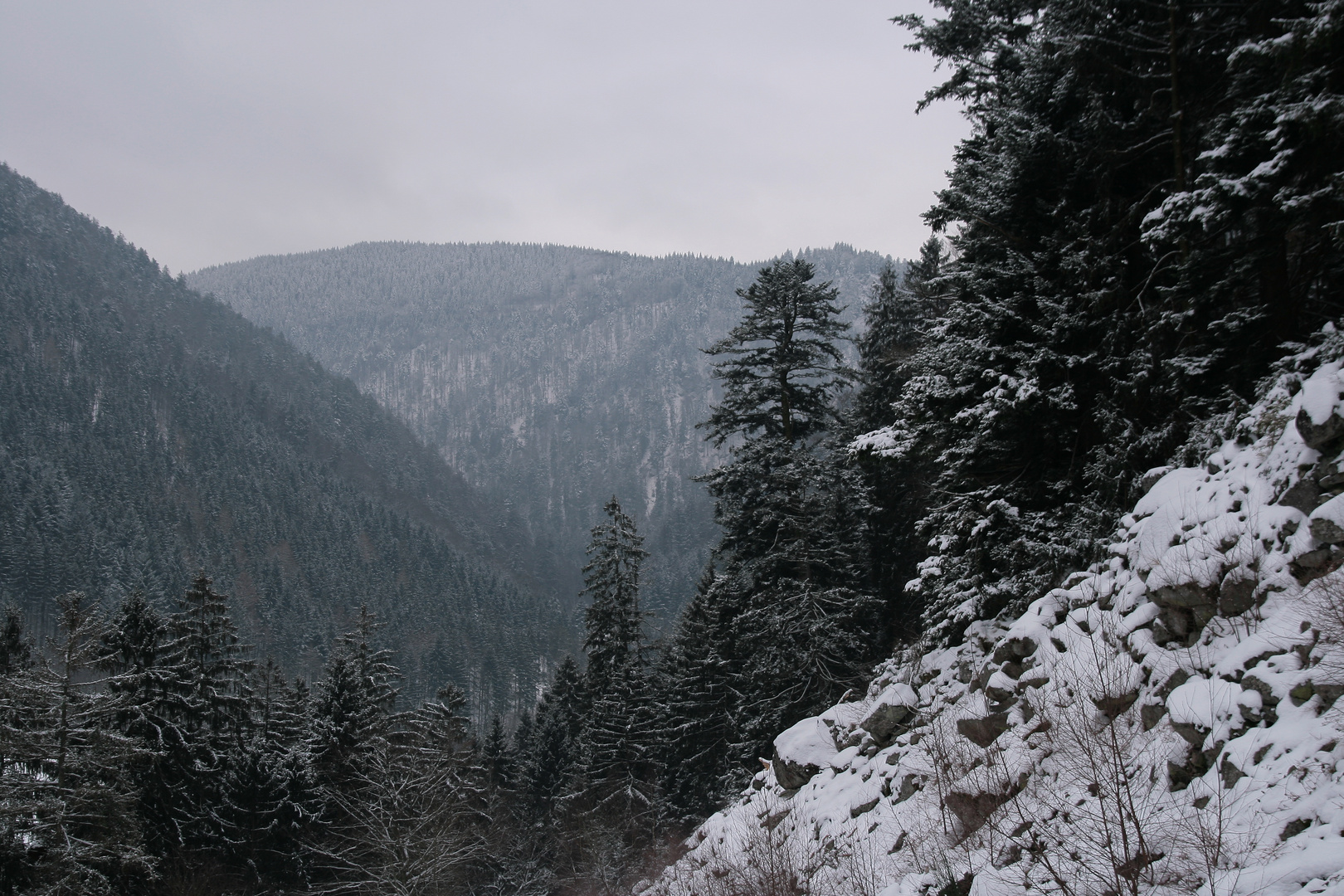 verschneiter Blockhaldenwald