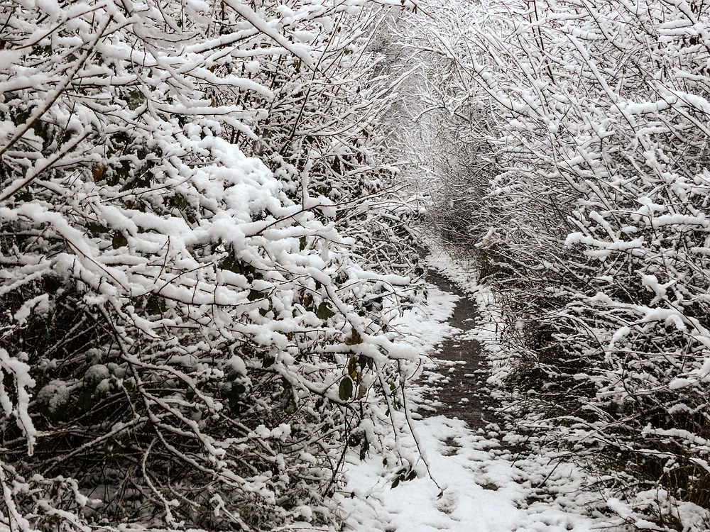 Verschneiter Durchgang