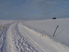 Verschneiter Feldweg......