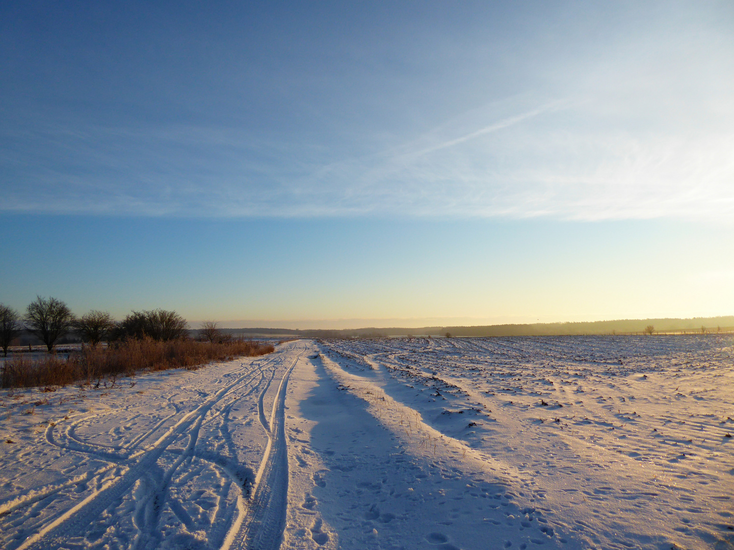 verschneiter Feldweg am Morgen